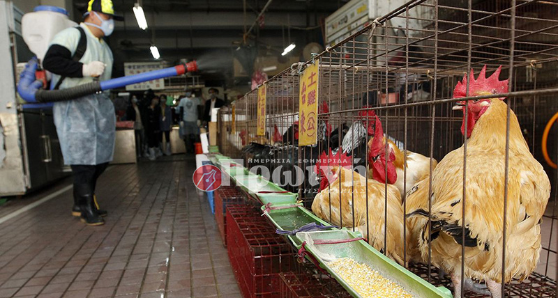 A New Taipei City Department of Environmental Protection worker sprays sterilising anti-H7N9 virus disinfectant around chicken stalls inside a market in New Taipei City April 8, 2013. No confirmed cases of bird flu have been reported in Taiwan to date, according to local media.  REUTERS/Pichi Chuang (TAIWAN - Tags: HEALTH ENVIRONMENT ANIMALS)