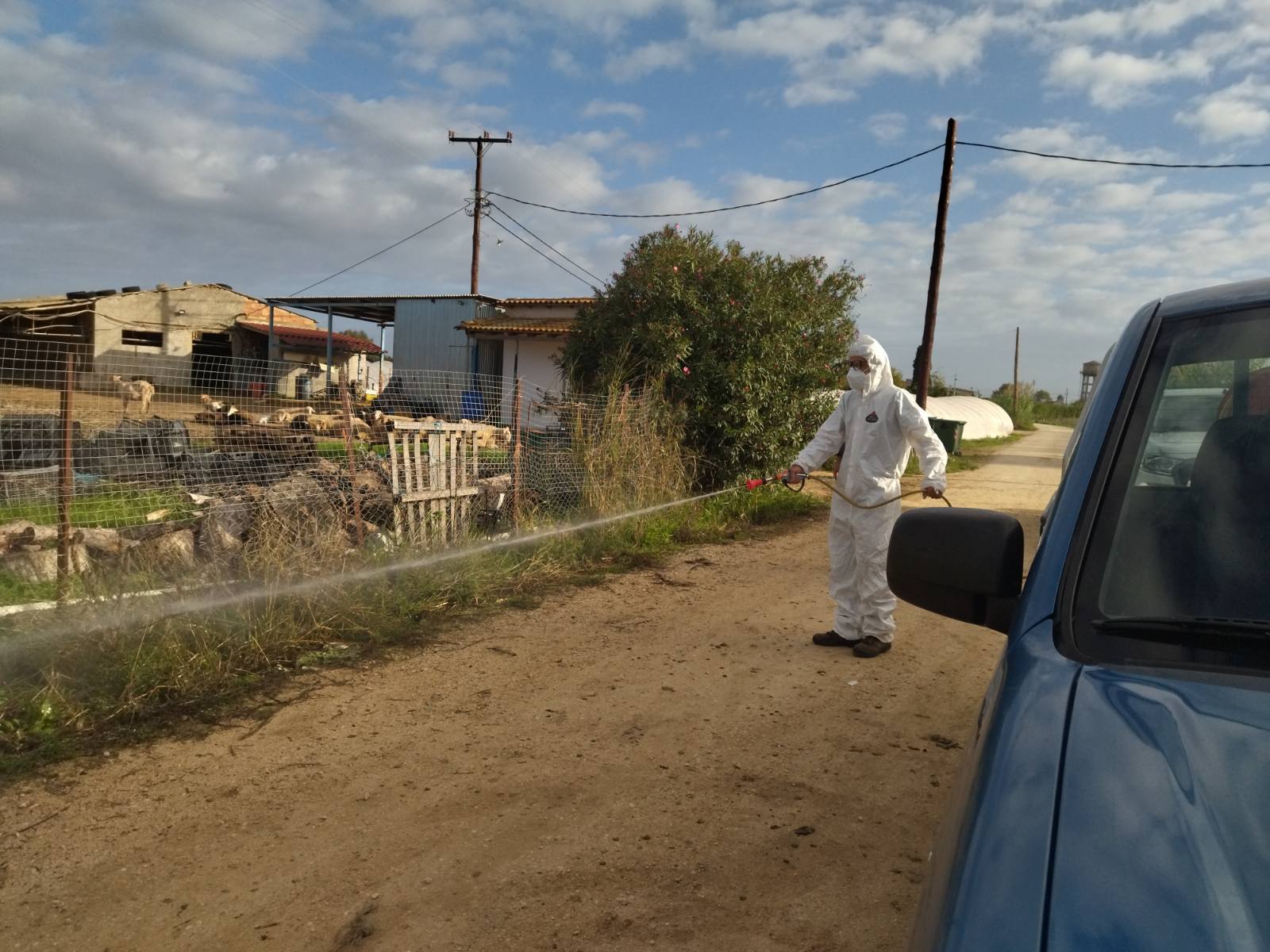 Δήμος Ανδραβίδας Κυλλήνης: Μέτρα και δράσεις για την Αντιμετώπιση της έξαρσης της Ευλογιάς Προβάτων