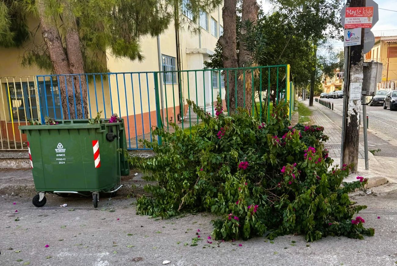 Συνεργασία με τους δημότες ζητάει η υπηρεσίας καθαριότητας του Δήμου Ήλιδας