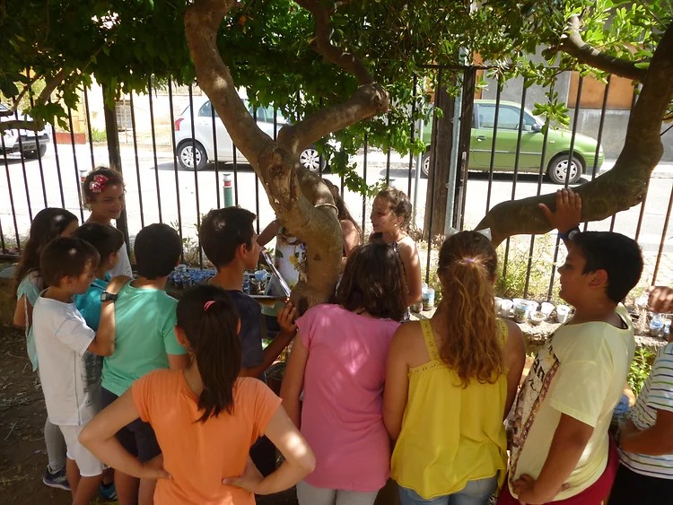 Συνεργατικό Δίκτυο Εκπαιδευτικών Ηλείας: “Πως θα αναστείλουμε τη βία;-Το συμβούλιο της τάξης”