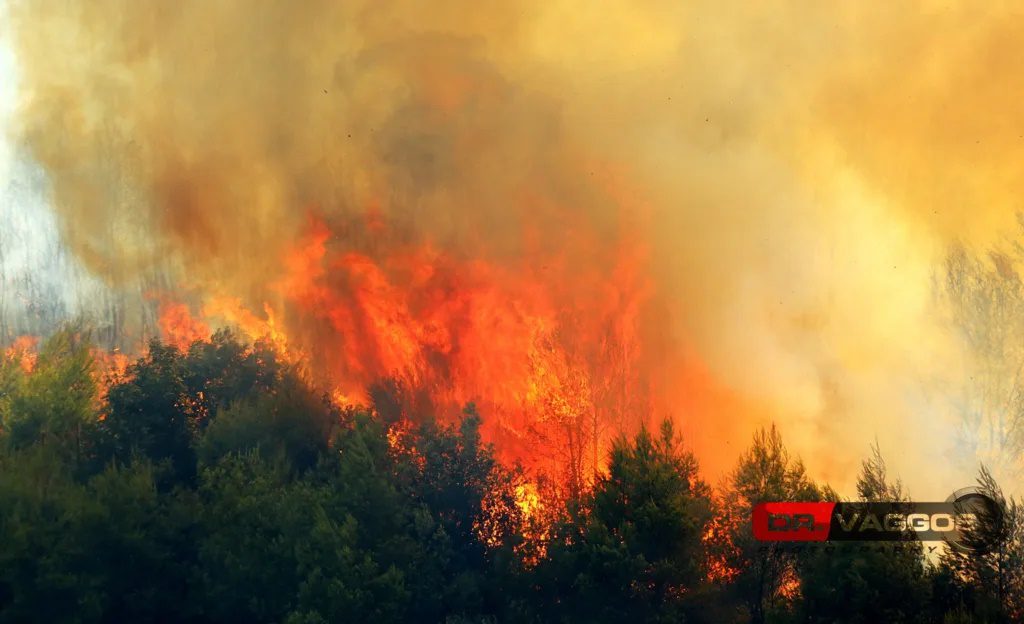 Μεγάλη πυρκαγιά σε δασική έκταση στο Γεράκι Αμαλιάδας