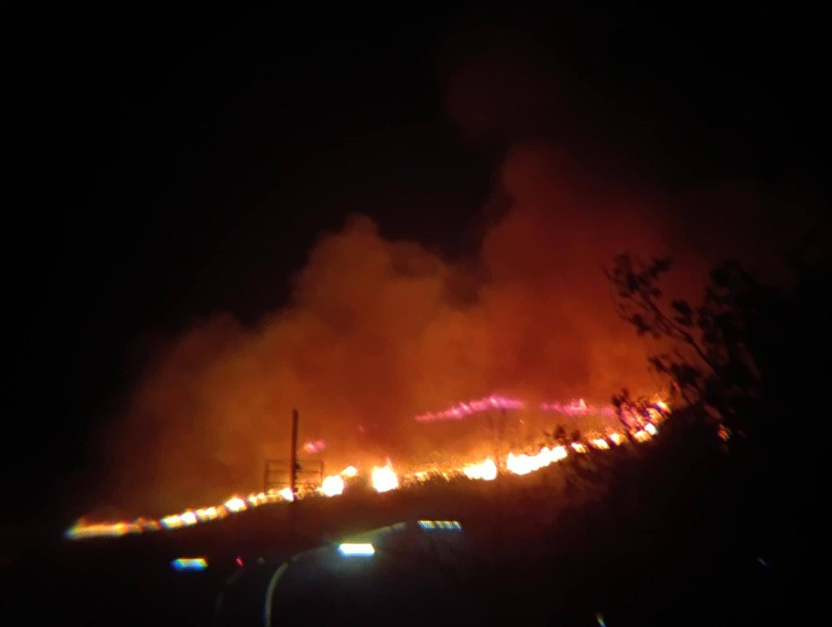 Φωτιά στη Μακύνεια Ναυπακτίας κοντά στο Αντίρριο – Ήχησε το 112 [βίντεο]