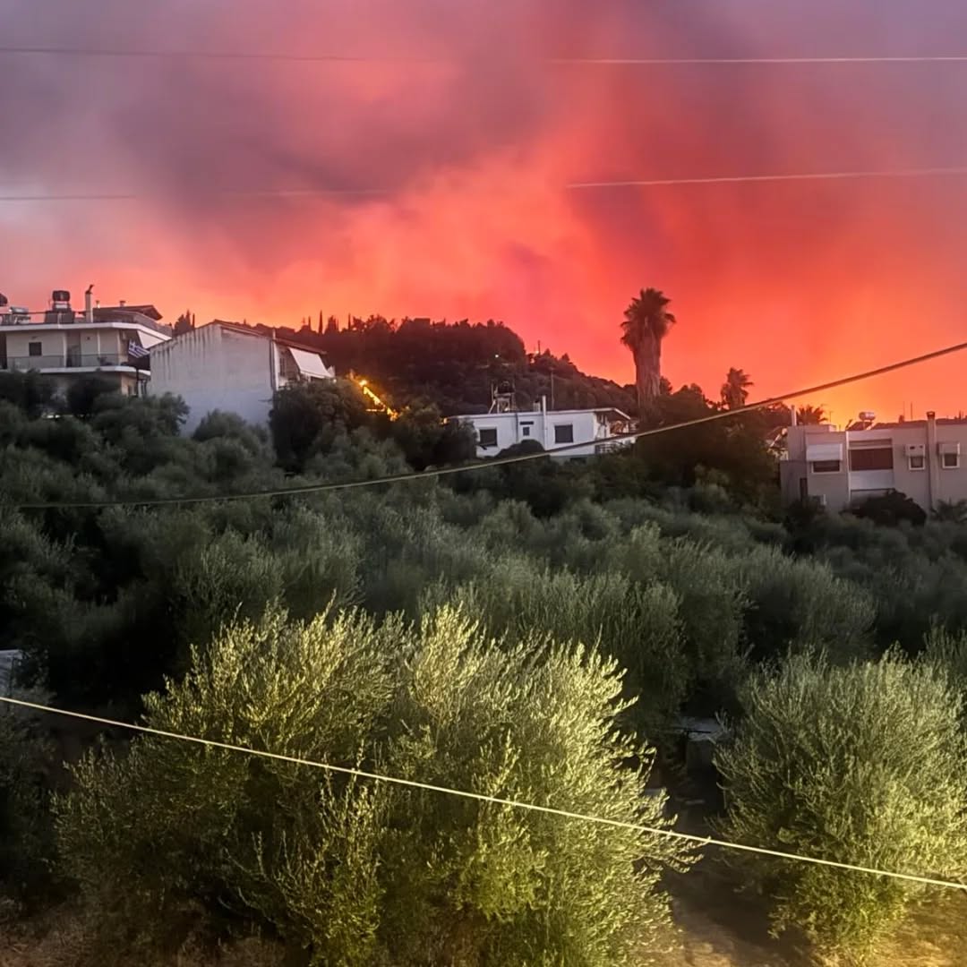 Συμπαράσταση στους πυρόπληκτους της Αχαΐας από το Πανεπιστήμιο Πατρών