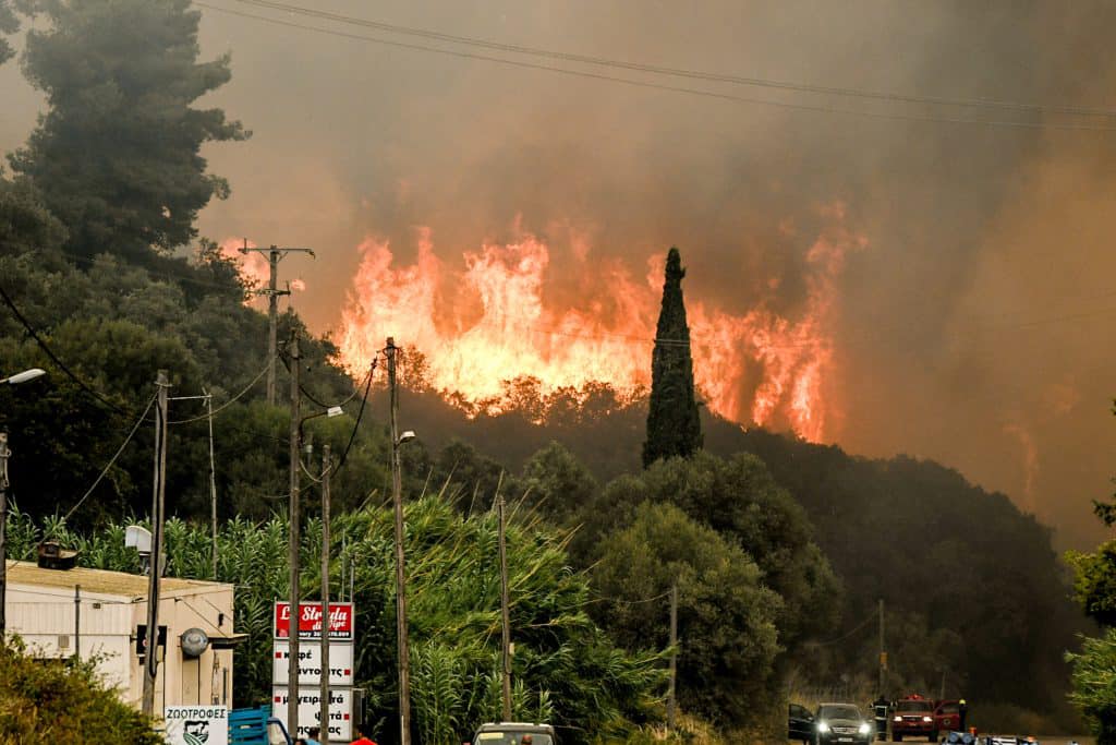 Στην Αμαλιάδα συγκέντρωση ειδών πρώτης ανάγκης για τους πυρόπληκτους της Αχαΐας