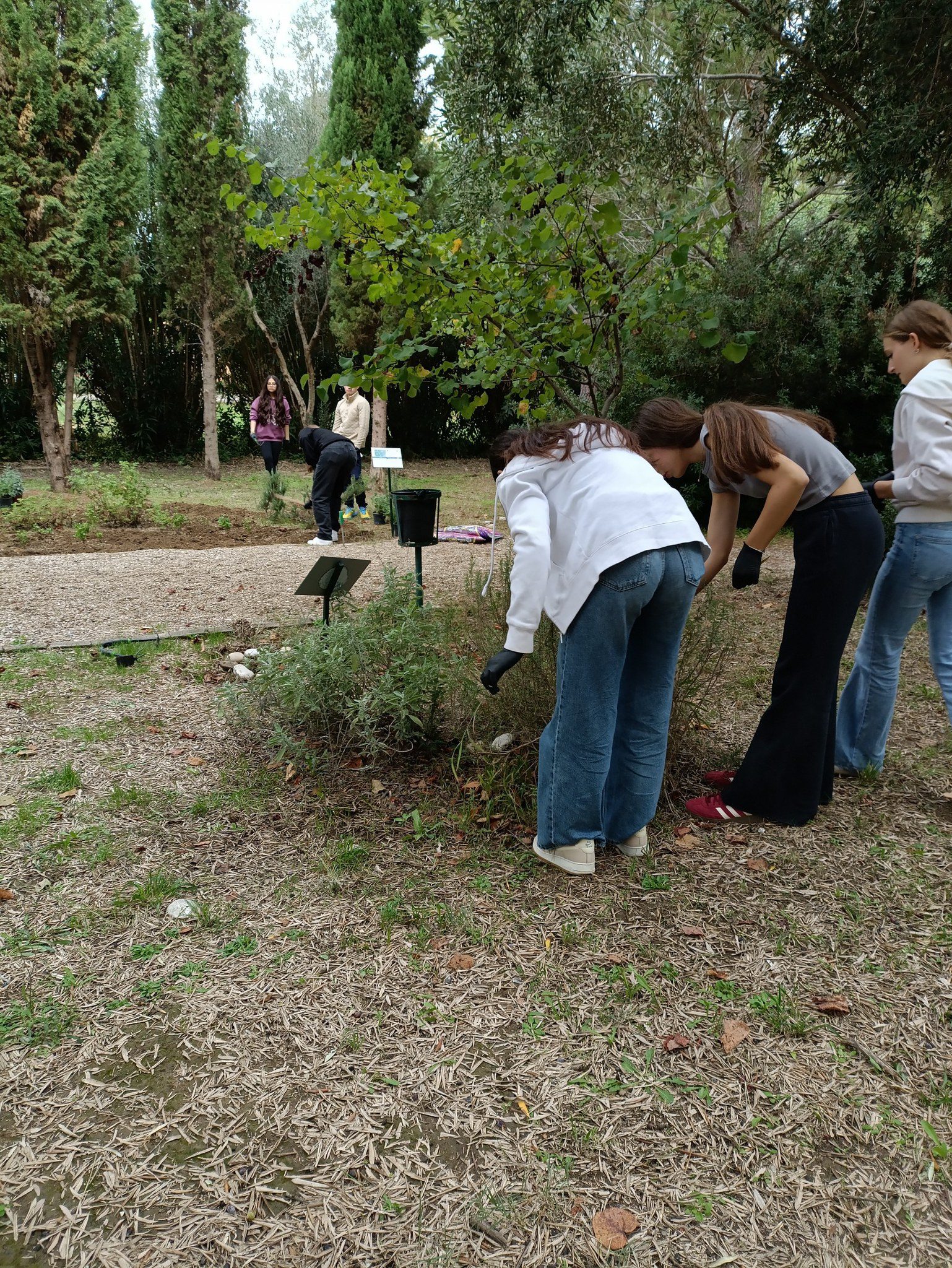 Ο Φυσιολατρικός Σύλλογος Αρχαίας Ολυμπίας υποδέχθηκε στον Ολυμπιακό Βοτανικό Κήπο το σχολείο Acs Athens