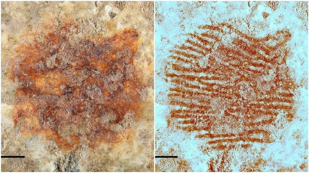 Το αρχαιότερο δαχτυλικό αποτύπωμα στον κόσμο αποκαλύπτει ότι οι Νεάντερταλ ήταν… καλλιτέχνες