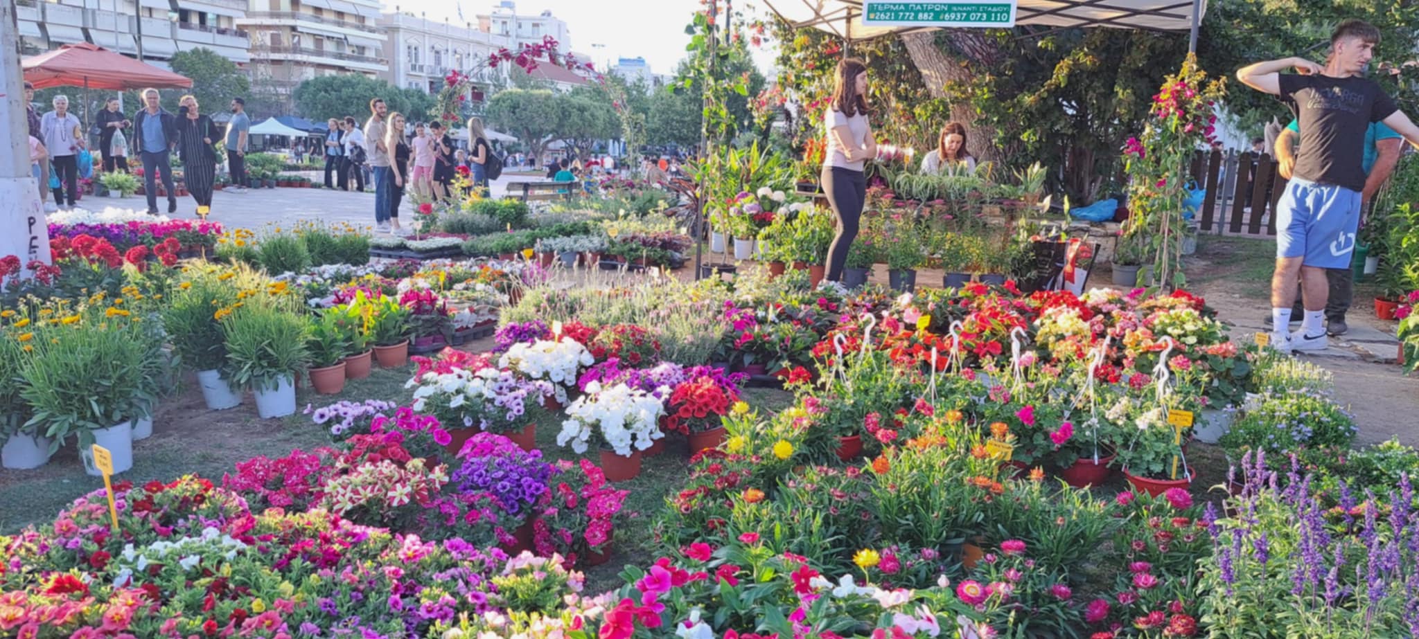 Δήμος Πύργου: Με χρώματα και αρώματα…