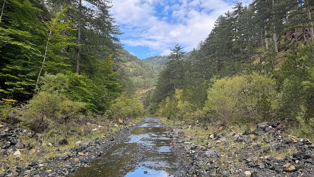 Ο Αώος στερεύει: Η έλλειψη οικολογικής παροχής απειλεί ένα από τα τελευταία ποτάμια ελεύθερης ροής