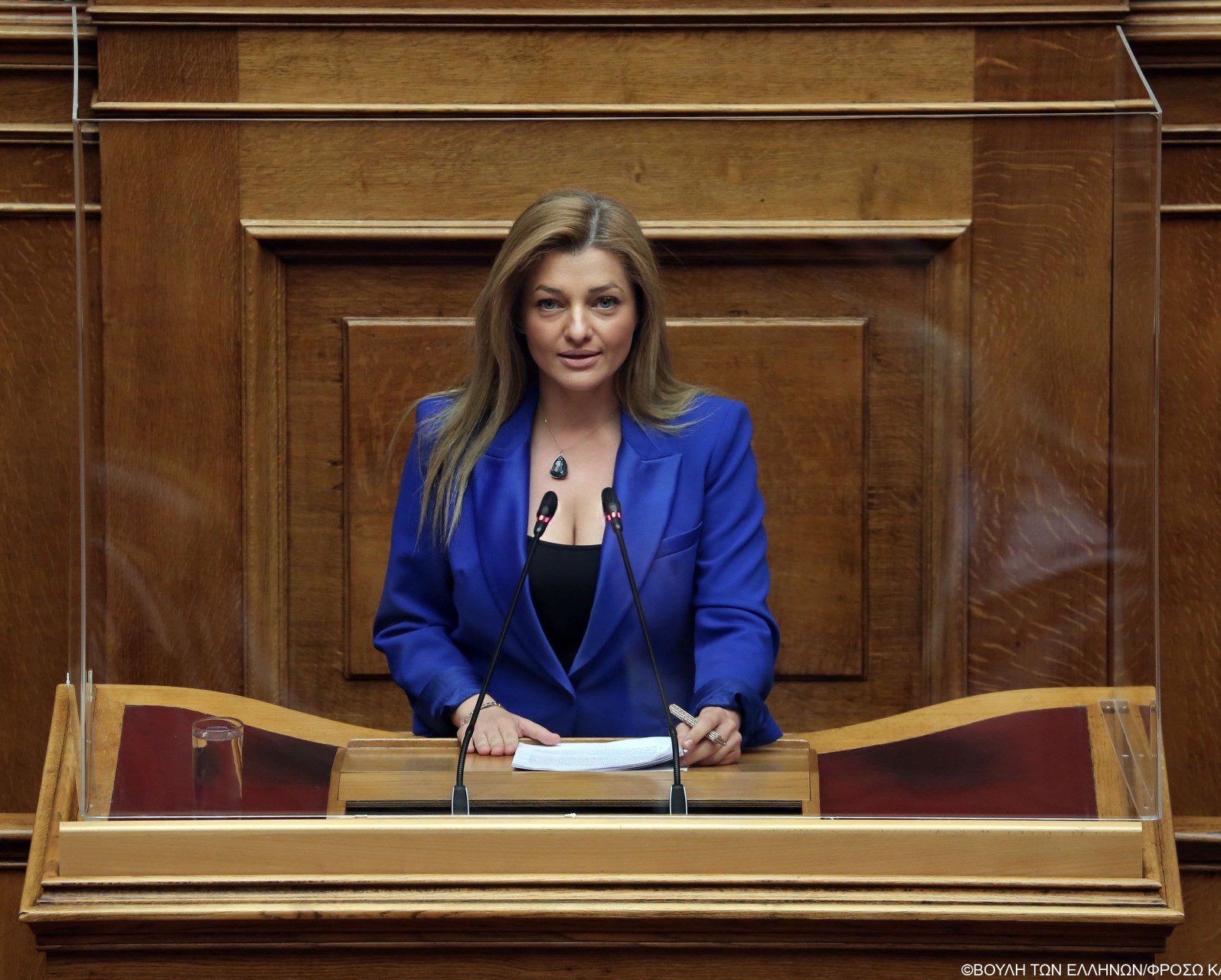 Ερώτηση στη Βουλή από τη Δ. Αυγερινοπούλου για την ασφαλή πρόσβαση στους καταρράκτες της Νέδας