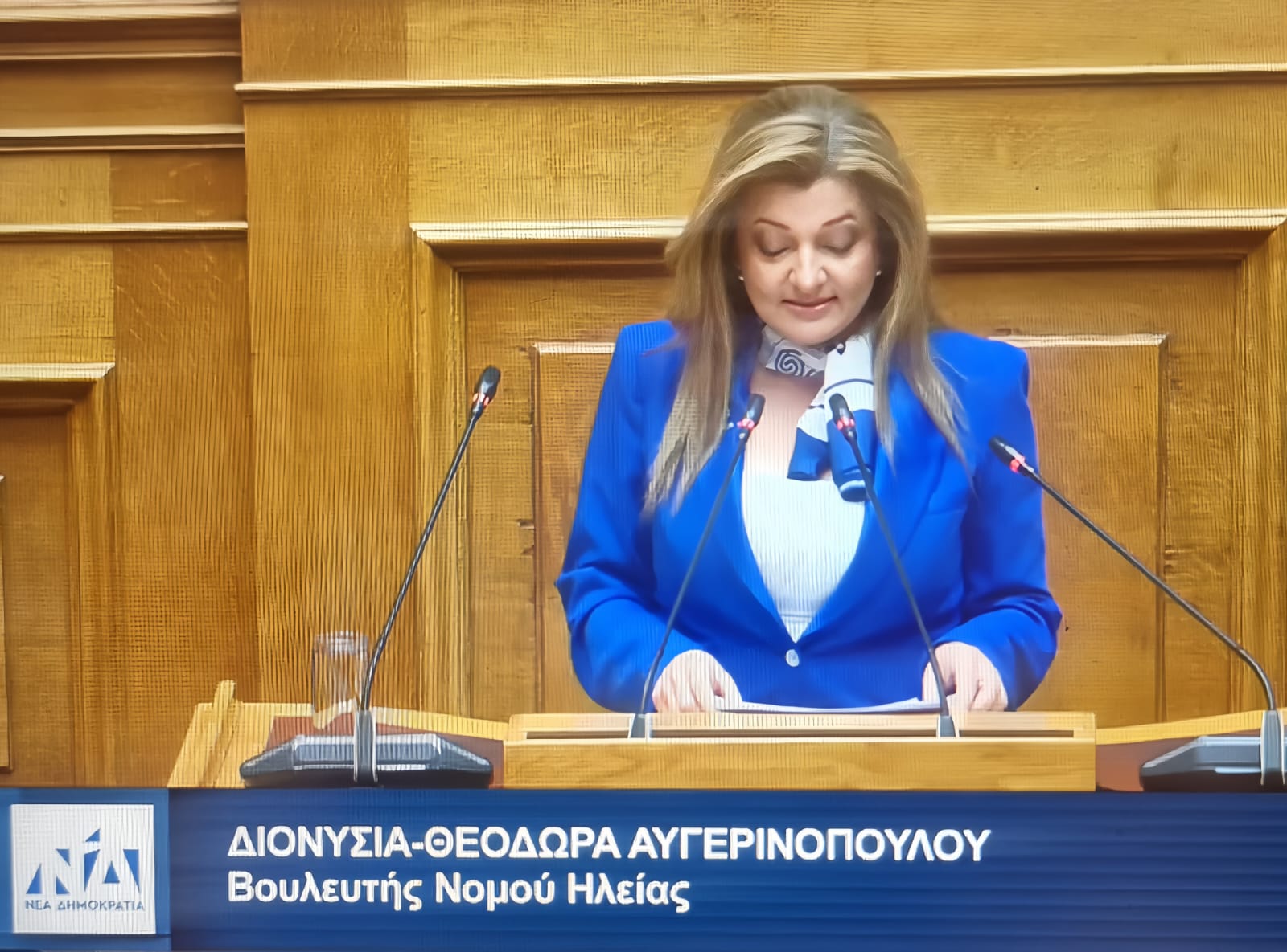 Δ. Αυγερινοπούλου: Κυρώθηκε από την Ολομέλεια της Βουλής η Συμφωνία BBNJ του ΟΗΕ