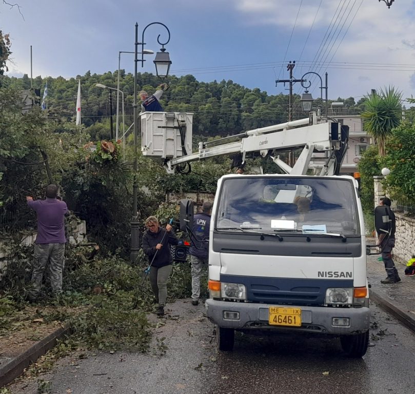Δήμος Ανδρίτσαινας-Κρεστένων: Απομάκρυνση επικίνδυνων κλαδιών και δέντρων
