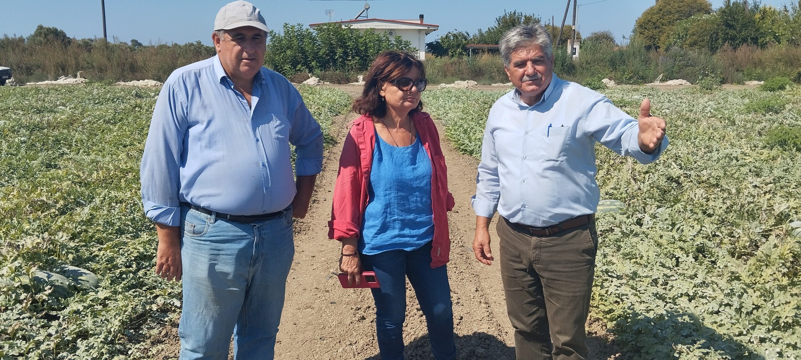 Δήμος Ήλιδας: Αυτοψία από τον ΕΛΓΑ σε καλλιέργειες που επλήγησαν από τον καύσωνα