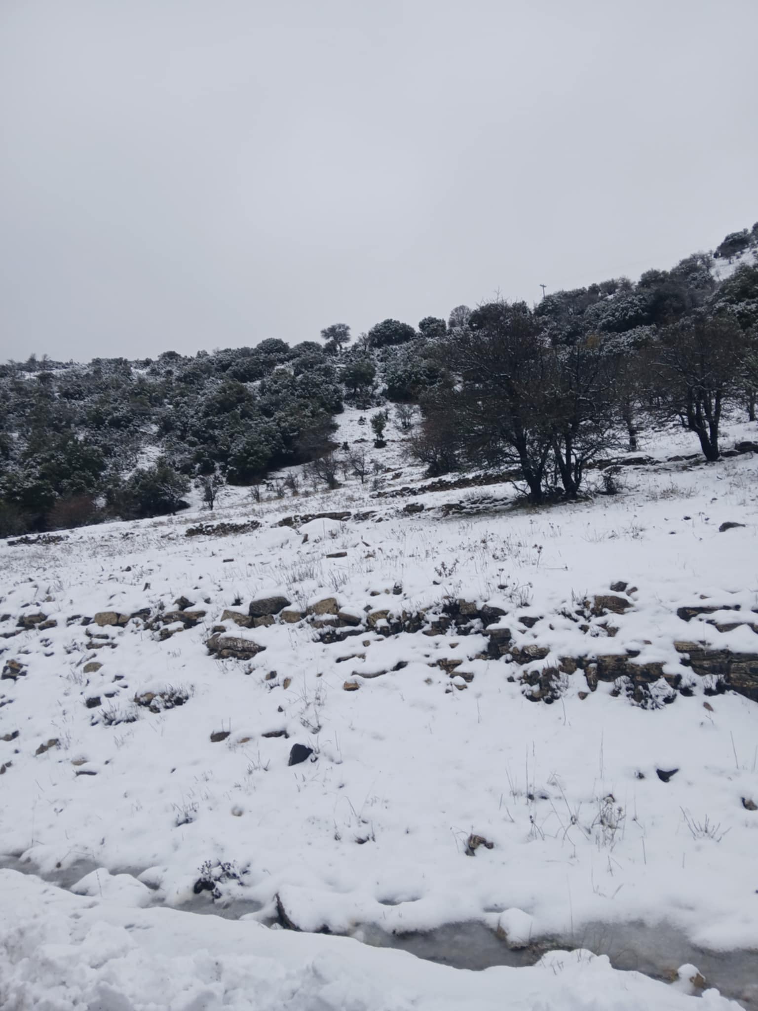 Λευκή «επιδρομή» στην περιοχή του Ναού Επικούριου Απόλλωνα