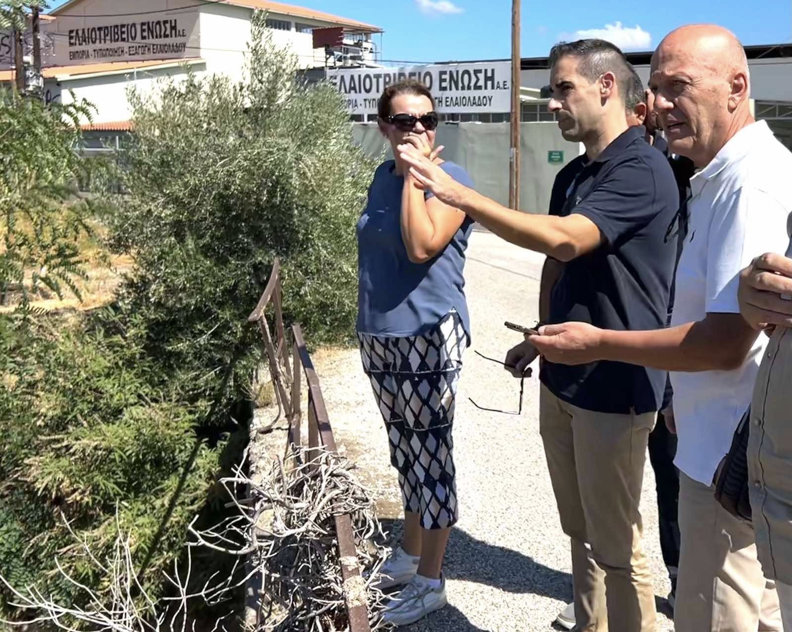 Αυτοψία Γιαννόπουλου σε Ζαχάρω και Στρέφι
