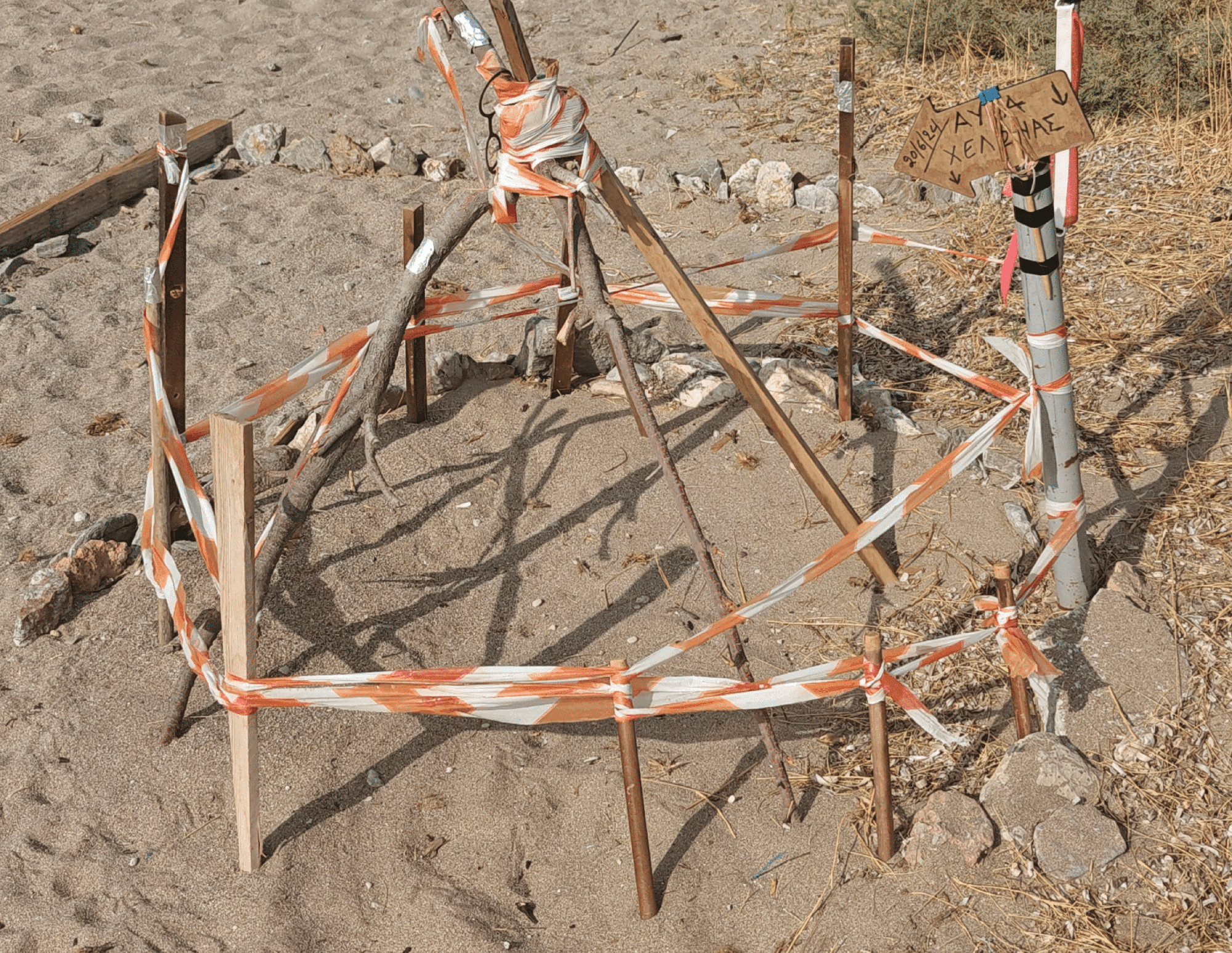 Περισσότερες φέτος οι φωλιές για τις χελώνες καρέτα – καρέτα