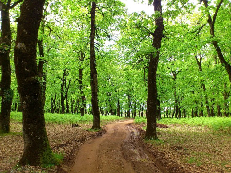 Τουριστική και πολιτιστική αξιοποίηση δικτύου μονοπατιών 129 χλμ