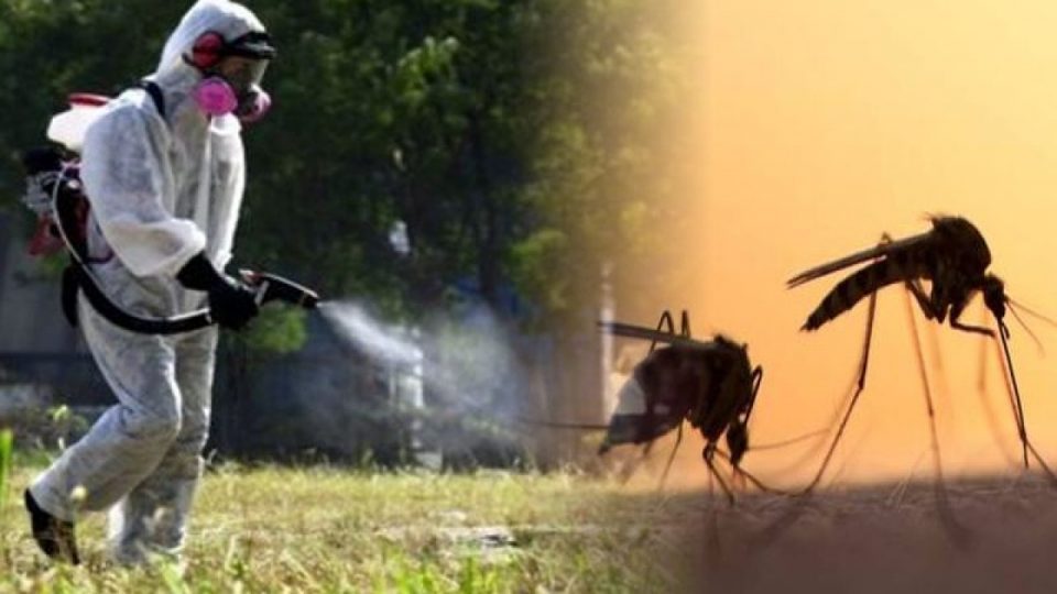 Ξεκίνησε η διενέργεια εντατικών ψεκασμών  με ενέργειες του Δήμου Ανδρίτσαινας-Κρεστένων