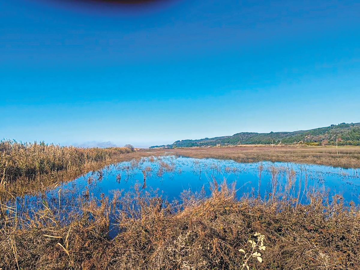 15 αδιάθετα οικόπεδα στην πρ. Λίμνη Αγουλινίτσας