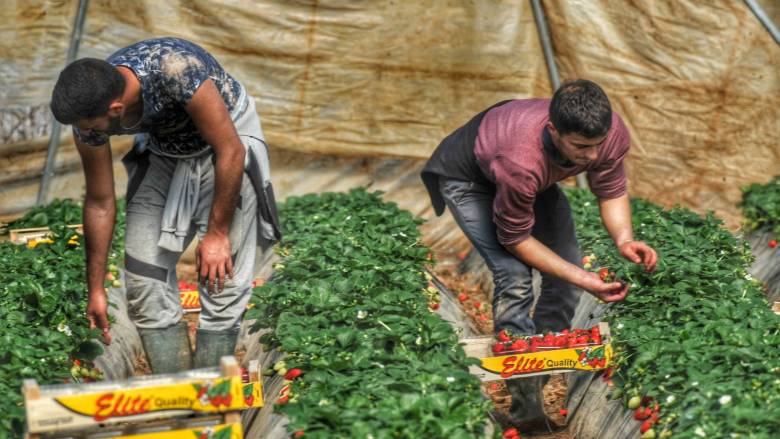 ΑΔΕΔΥ παράρτημα Ηλείας: Ανθρώπινες συνθήκες διαμονής των εργατών γης στη Μανωλάδα