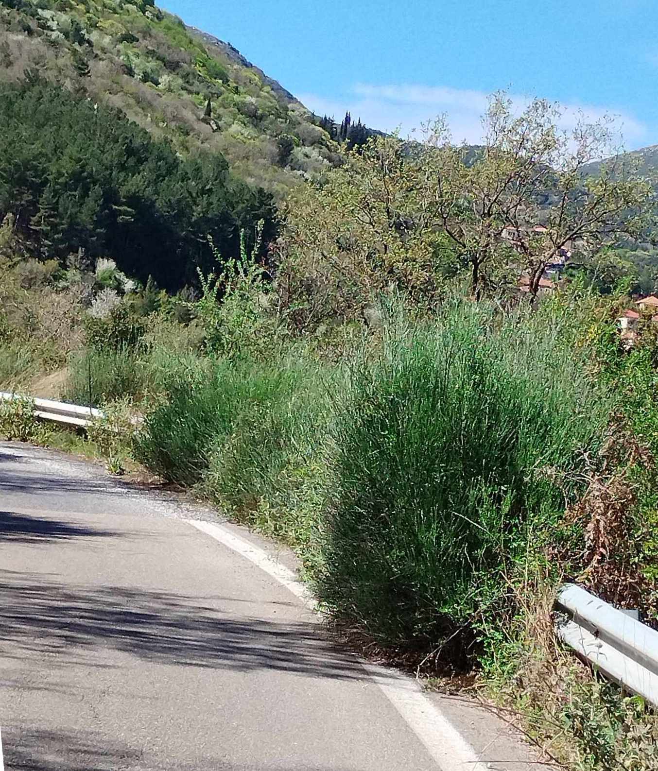 Οδικό τμήμα από Ανδρίτσαινα-Μεγαλόπολη: Από καθαρή τύχη δεν έχουν θρηνηθεί ανθρώπινες ζωές