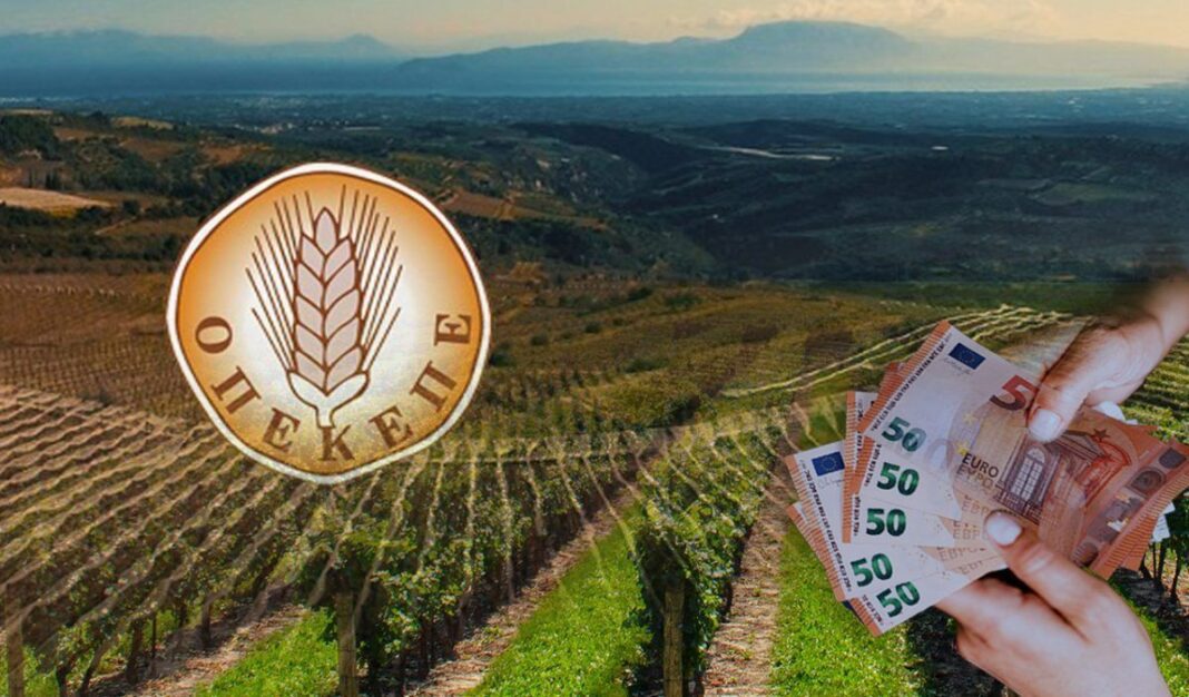 Προκαταβολή βασικής ενίσχυσης-Φιάσκο η πληρωμή από τον ΟΠΕΚΕΠΕ