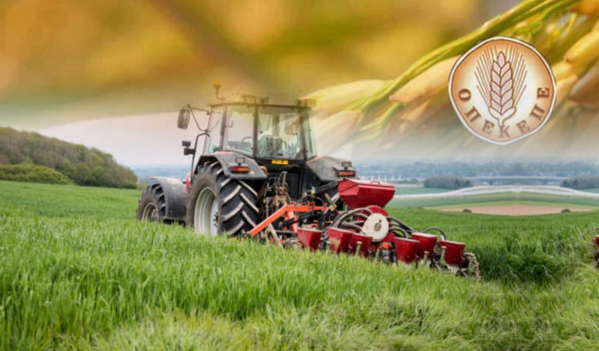 ΟΠΕΚΕΠΕ: Στον «αέρα» οι πληρωμές για το 2025