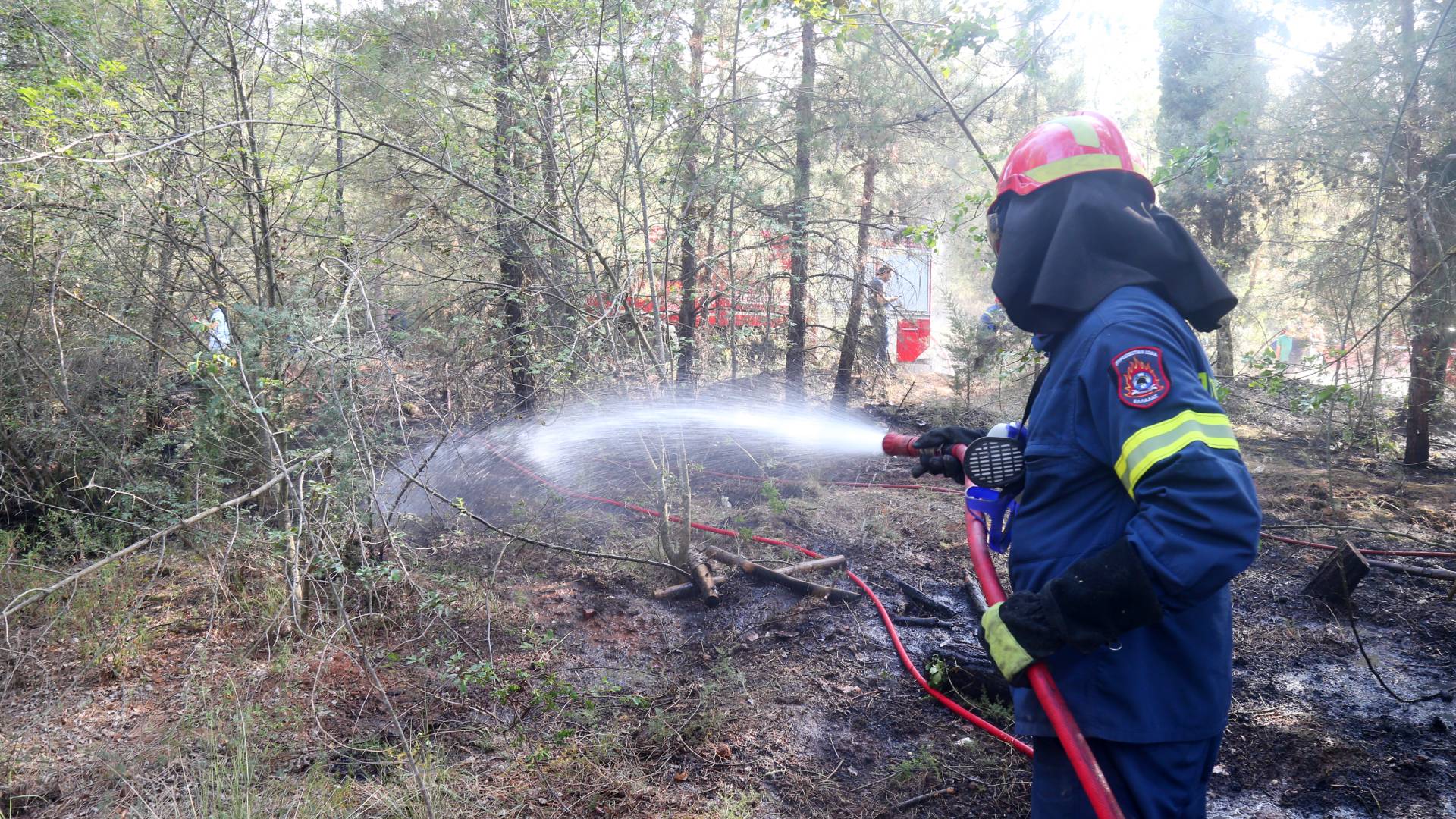 Παρεμβάσεις στις υποδομές των πυρόπληκτων περιοχών του δήμου Πύργου