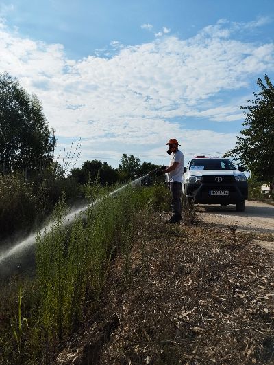 Δήμος Ανδρίτσαινας-Κρεστένων: Συνεχίζονται οι ψεκασμοί για τα σμήνη κουνουπιών