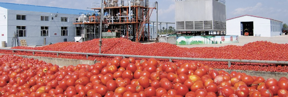 Εξαιρούνται βασικά προϊόντα της Ηλείας από τις αποζημιώσεις!