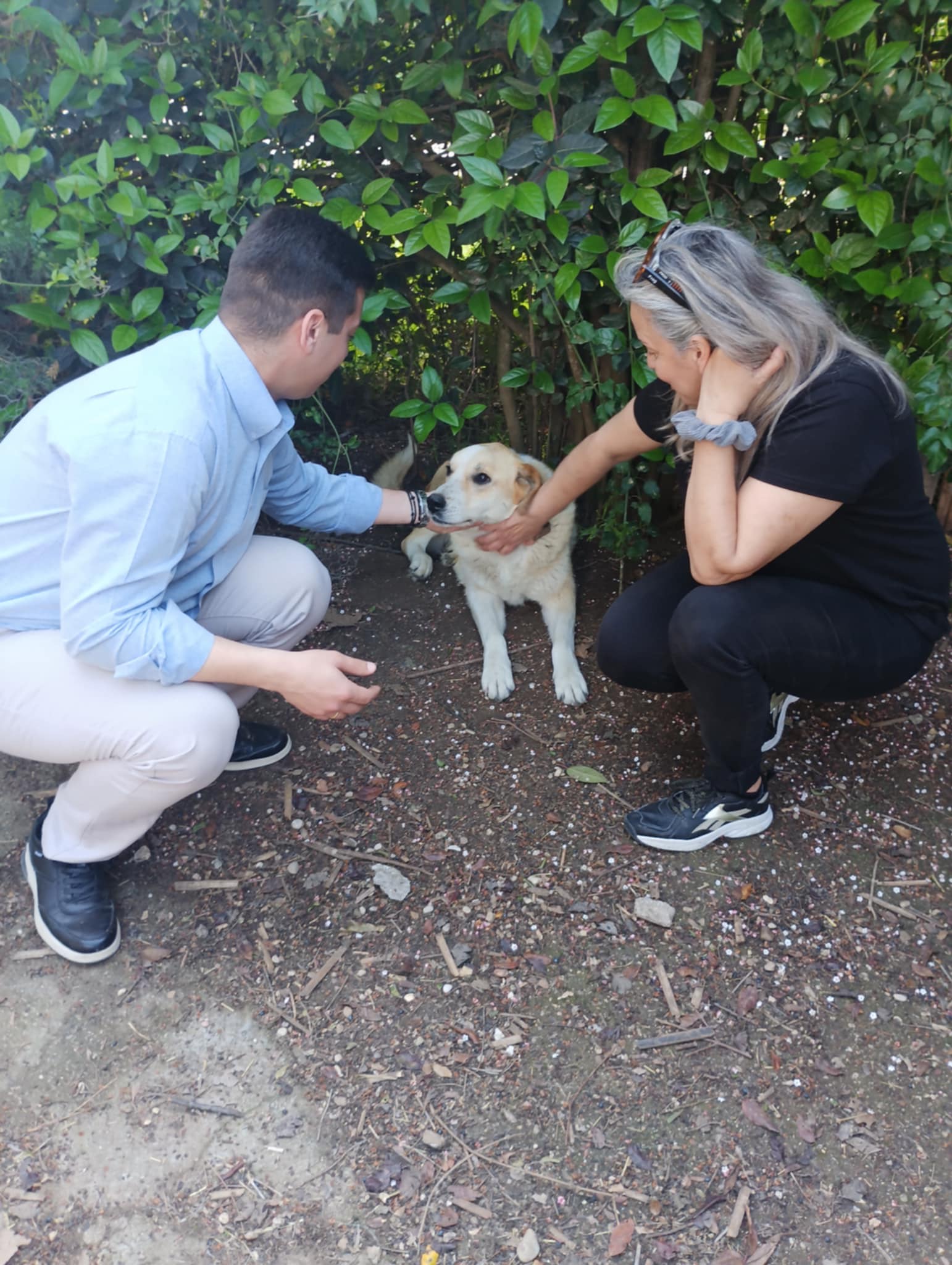 Δήμος Ανδραβίδας-Κυλλήνης: Παγκόσμια Ημέρα των Ζώων