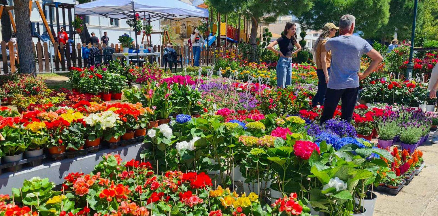 Ανοίγει σήμερα τις πύλες της η Ανθοκομική Έκθεση στο Επαρχείο