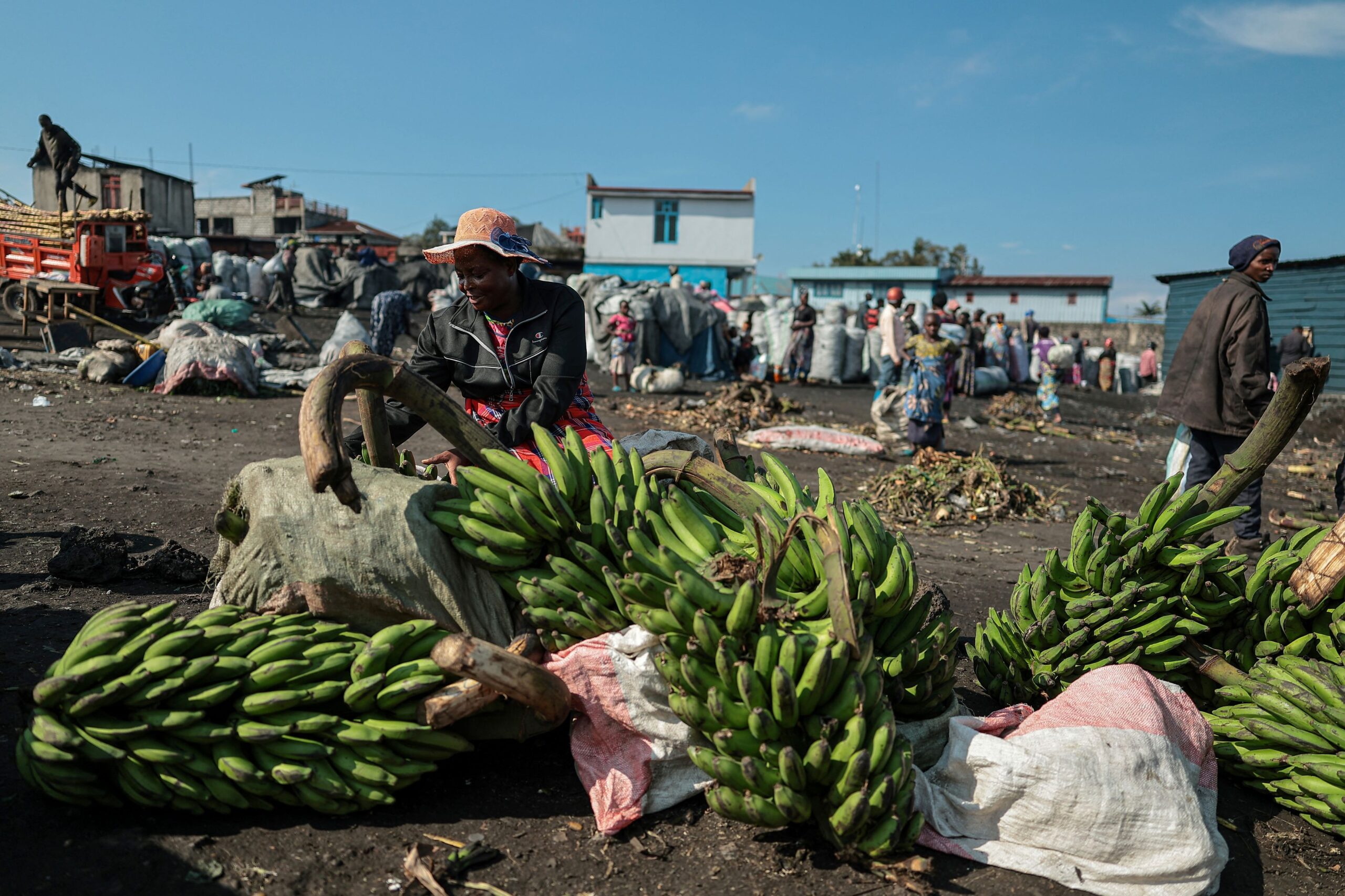Η κλιματική κρίση απειλεί το πιο δημοφιλές φρούτο του κόσμου