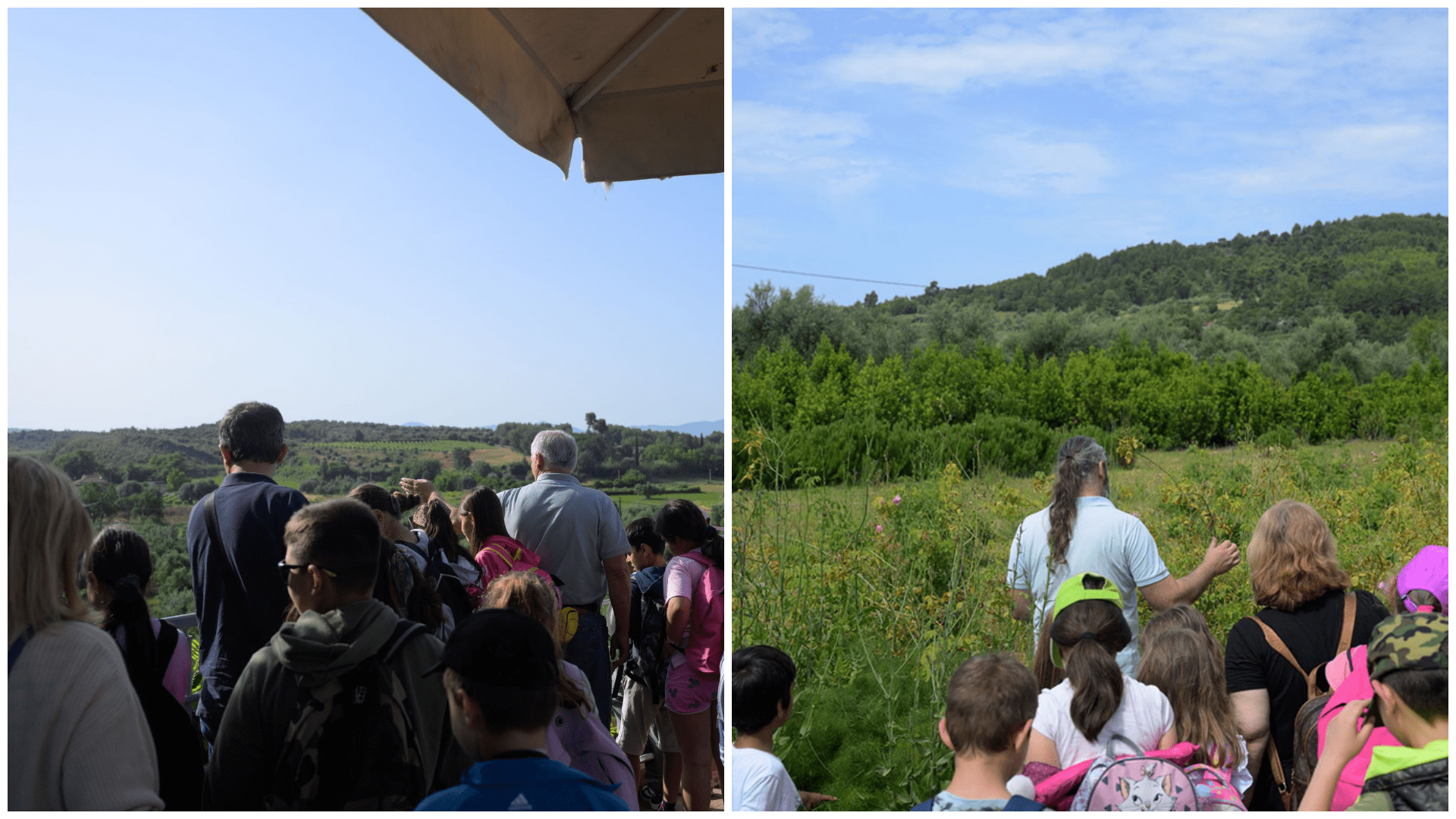 Μαθητές του Επιταλίου γνωρίζουν από κοντά τη βιολογική παραγωγή στην Ηλεία