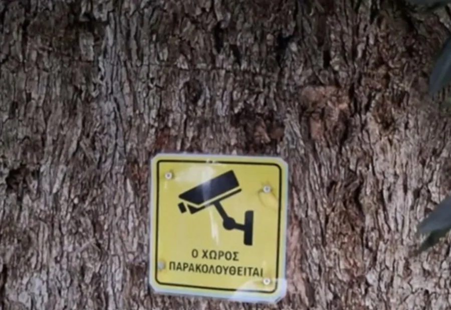 Έβαλαν κάμερες στις ελιές στην Κρήτη – Η απίστευτη πινακίδα
