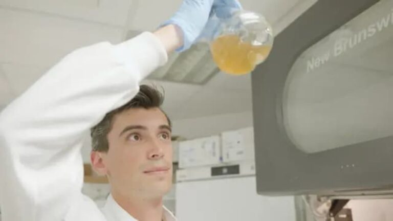 Νέα μέθοδος παραγωγής φαρμάκων μετατρέπει τα πλαστικά απόβλητα σε παρακεταμόλη μέσα σε 24 ώρες