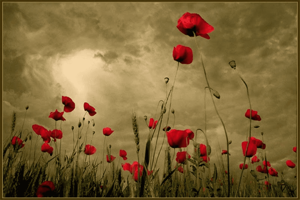 Ηλεία Σαββατοκύριακο τ. 6: Σημείωμα έκδοσης