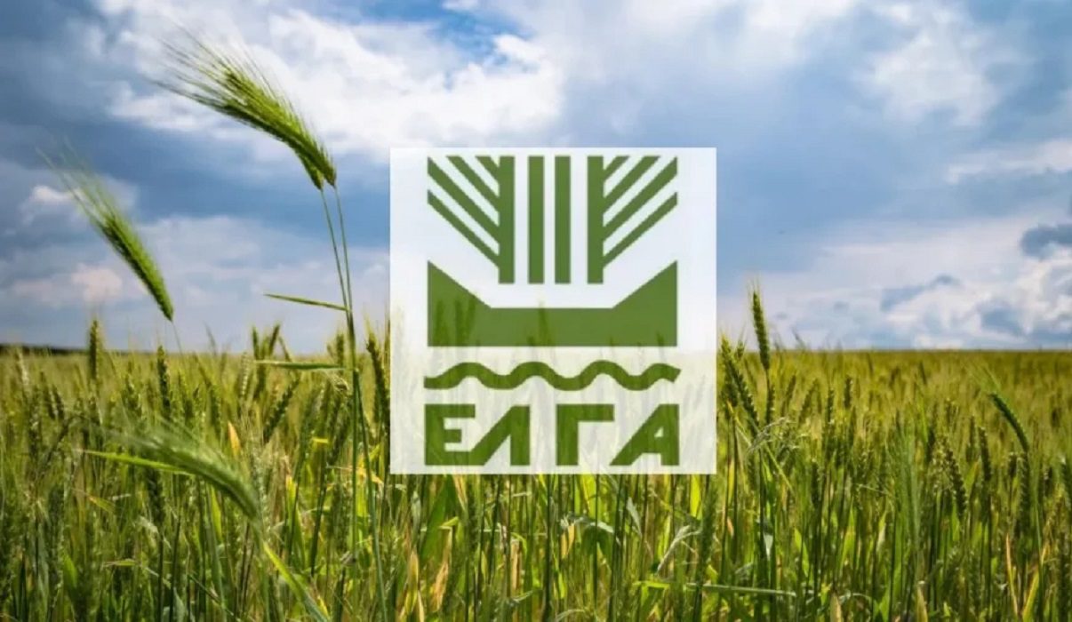 Δύο σημαντικές καλλιέργειες της Ηλείας έμειναν στο περιθώριο του πακέτου “Μητσοτάκη” παρά τις πιέσεις που ασκήθηκαν