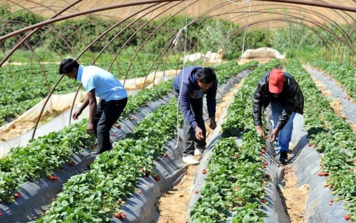Νέα Μανωλάδα: Ελεύθεροι 8 αλλοδαποί-θύματα εμπορίας ανθρώπων