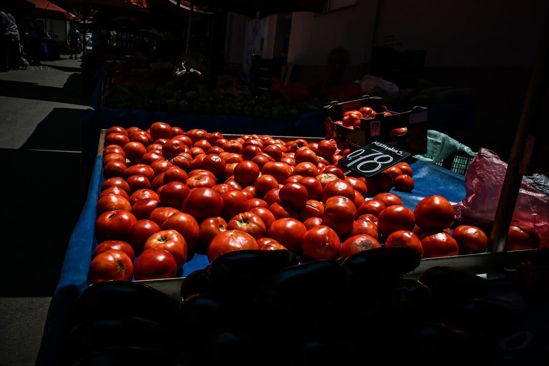 Φαγητό στα σκουπίδια: Αρνητική πρωτιά με 201 κιλά food waste η Ελλάδα