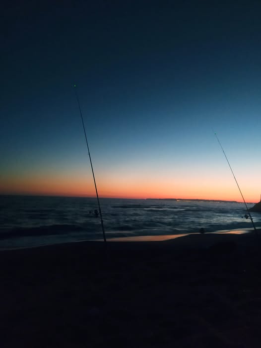 Παγκόσμια Ημέρα Αλιείας – Για την θάλασσα και τους ανθρώπους της