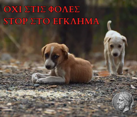 Δήμος Αρχ. Ολυμπίας: Η θανάτωση ζώων είναι καταδικαστέα και εγκληματική πράξη