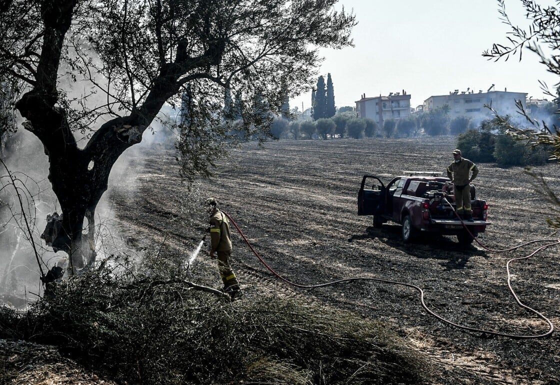 Φωτιά στην Αχαΐα: Συνελήφθη 25χρονος για εμπρησμό – Τι εξετάζουν οι Αρχές
