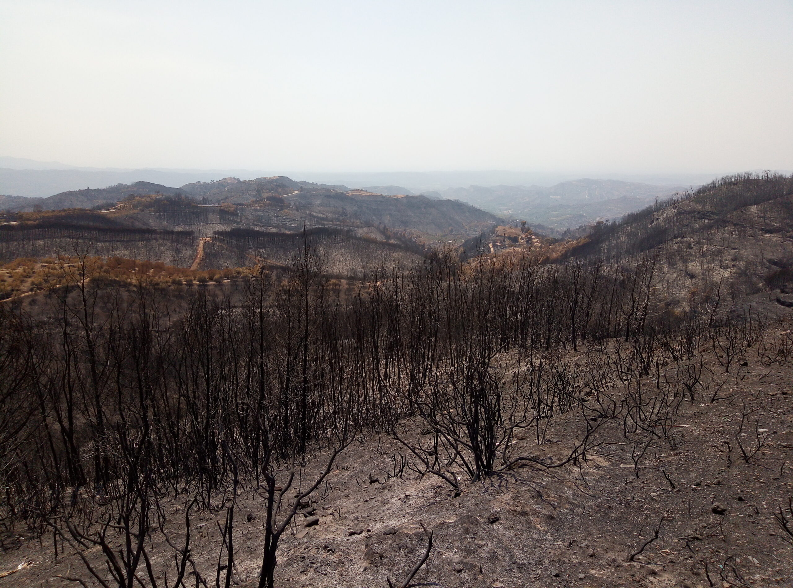 Με ανοιχτές πληγές η Αρχαία Ολυμπία, τέσσερα χρόνια μετά