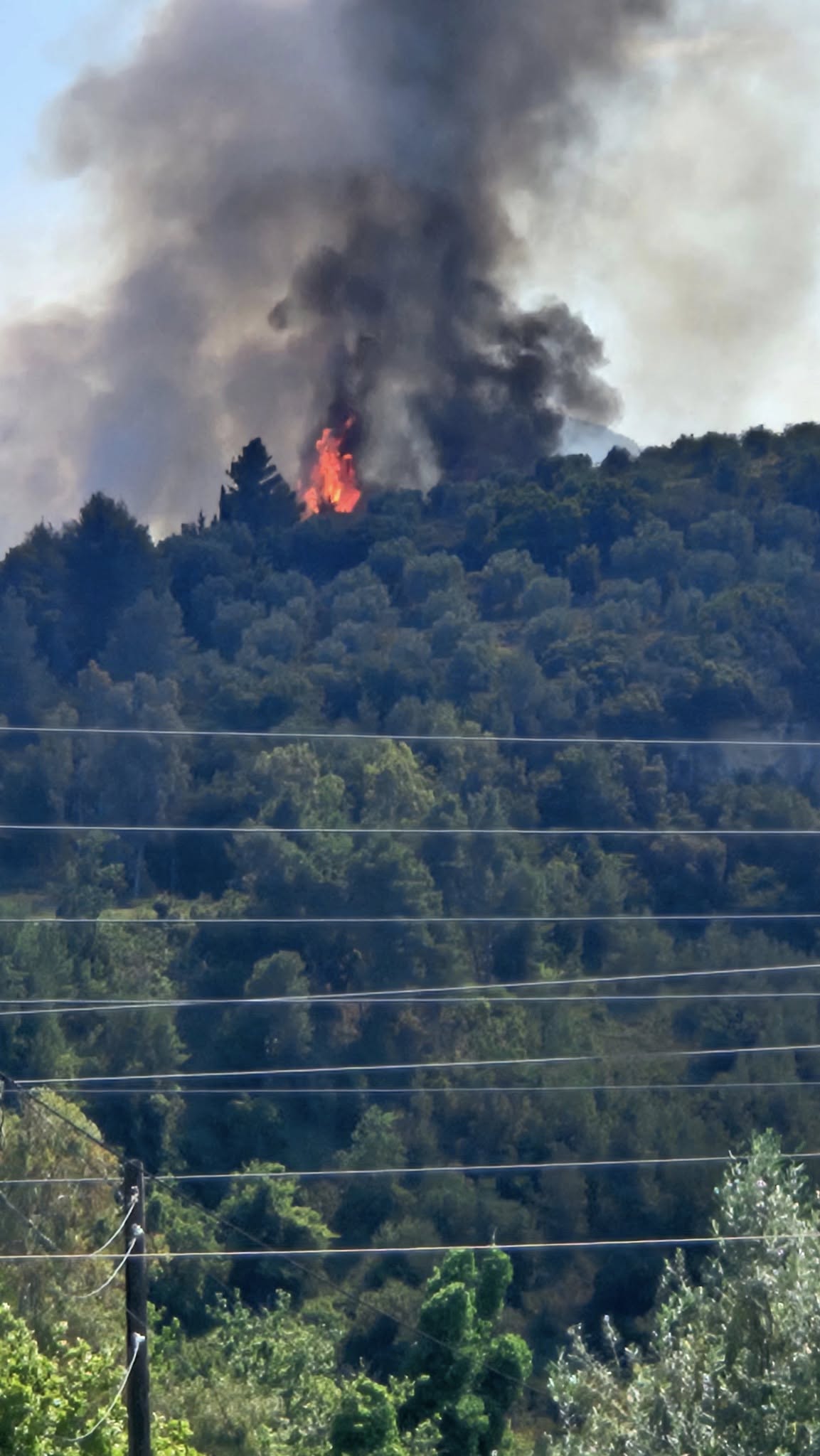 Φωτιά στα Καλυβάκια Ολυμπίας