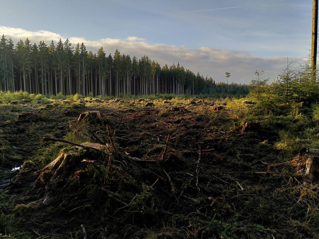 Η αποψίλωση των δασών έχει οδηγήσει στον θάνατο μισό εκατομμύριο ανθρώπους τα τελευταία 20 χρόνια
