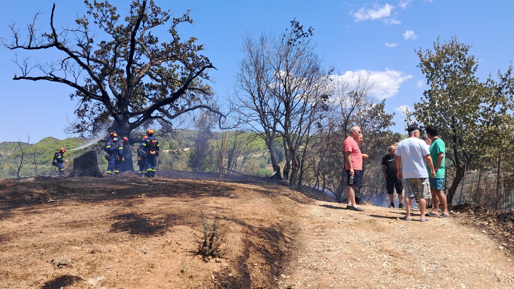 Φωτιά στον Ελαιώνα: Πρόλαβαν τα χειρότερα Πυροσβεστική  & Πολιτική Προστασία
