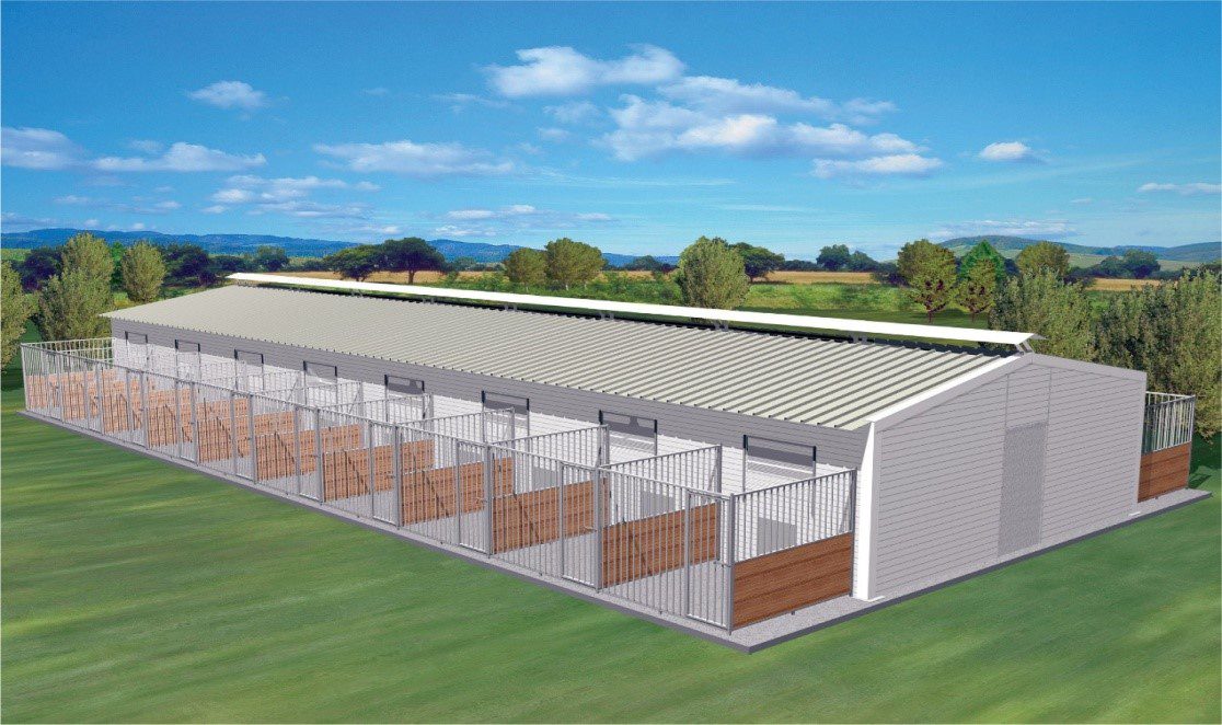 Δήμος Ανδραβίδας-Κυλλήνης: Προκηρύχθηκε διαγωνισμός για την κατασκευή καταφυγίου αδέσποτων ζώων