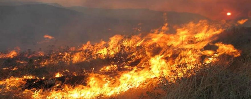 Π.Δ.Ε.: Καθολική απαγόρευση καύσης στην Περιφέρεια Δυτικής Ελλάδας, λόγω υψηλού κινδύνου πυρκαγιάς