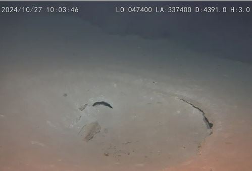 Άγνωστο οικοσύστημα στο βυθό του Ειρηνικού Ωκεανού ίσως ξαναγράψει την ιστορία της ζωής στη Γη (βίντεο)