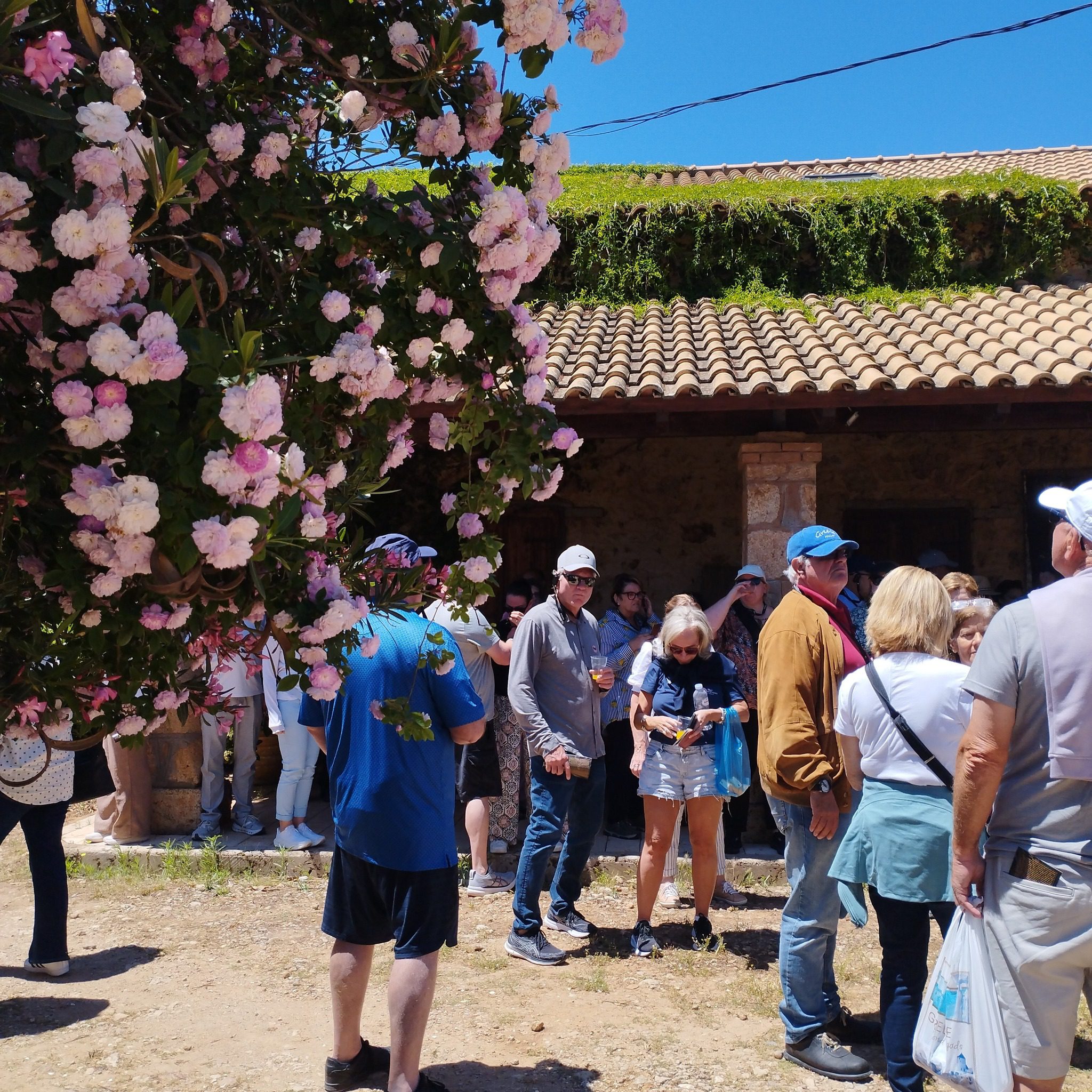 “Ανοιχτές Πόρτες”: “Πόλος έλξης”τα Οινοποιεία της Ηλείας που πλημμύρισαν από κόσμο το Σαββατοκύριακο